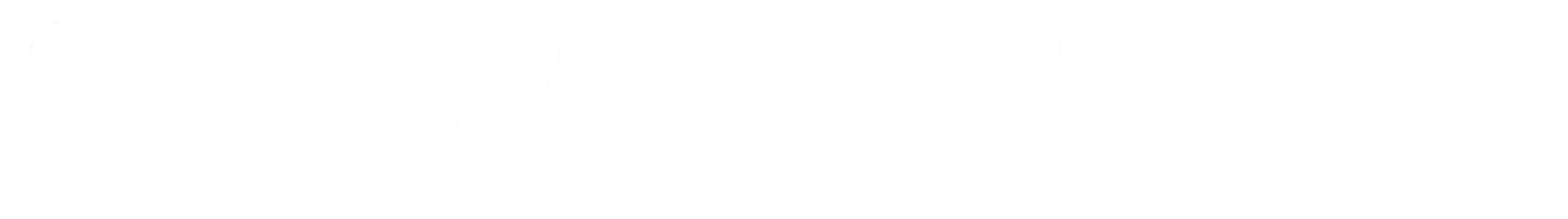logo-silvarovelle